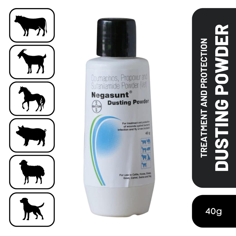 Pet Products